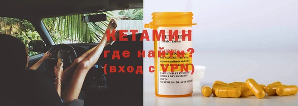 spice Дмитриев