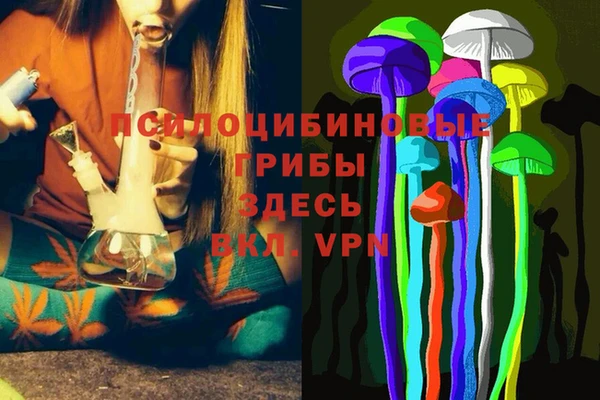 spice Дмитриев
