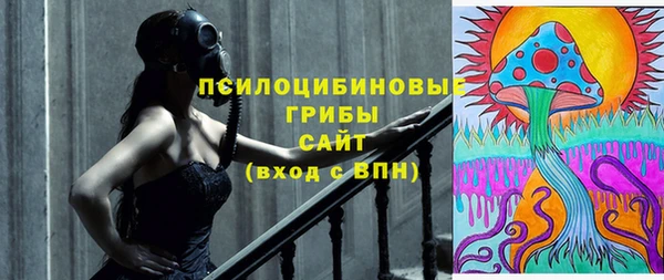 прущий лед Дмитров