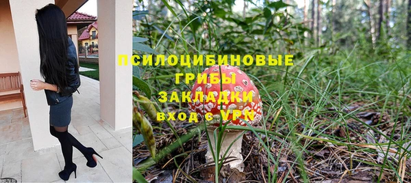 spice Дмитриев