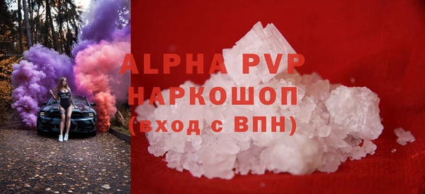 spice Дмитриев
