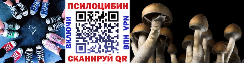 Галлюциногенные грибы мицелий  Кораблино 